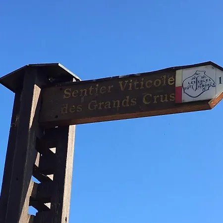 Villa Charming House In Riquewihr, Alsace Riquewihr