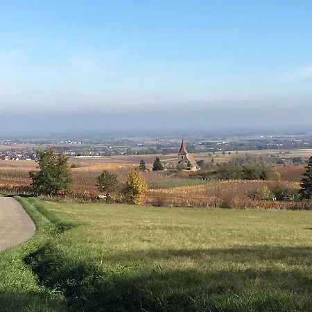 Charming House In Riquewihr, Alsace * Riquewihr