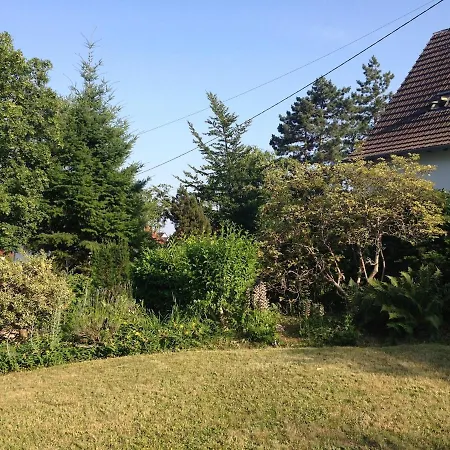 Villa Charming House In Riquewihr, Alsace Riquewihr