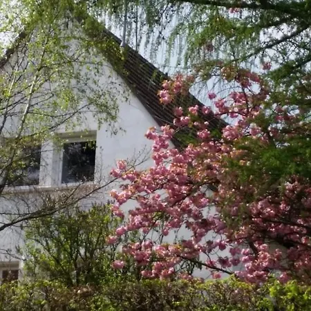 Charming House In Riquewihr, Alsace Villa Riquewihr