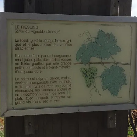 Villa Charming House In Riquewihr, Alsace *